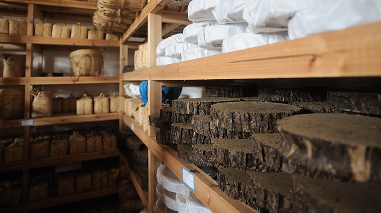 安化黑茶选陈年茶好,还是新茶好?